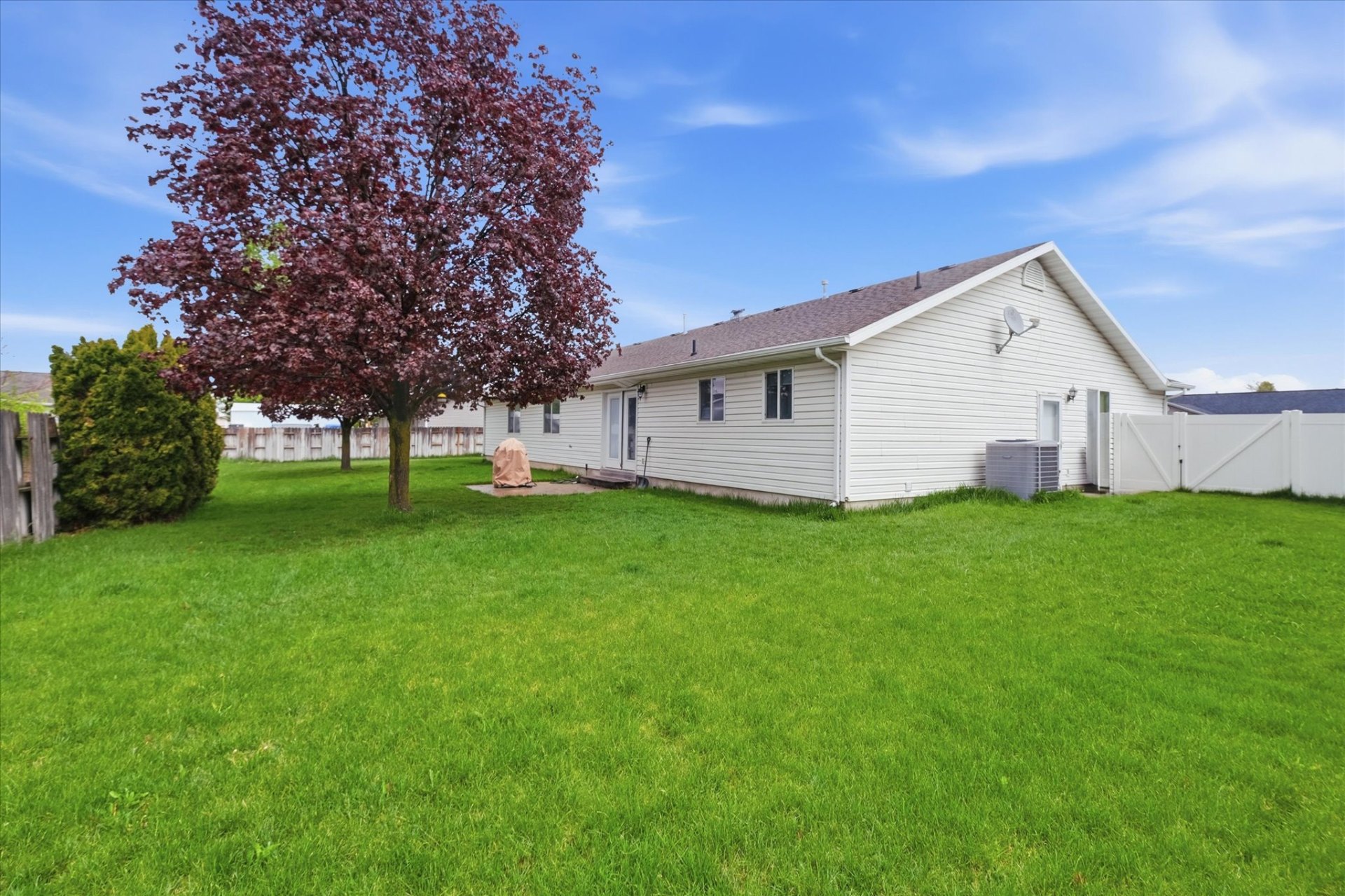 Backyard view showing covered patio area and side gate access